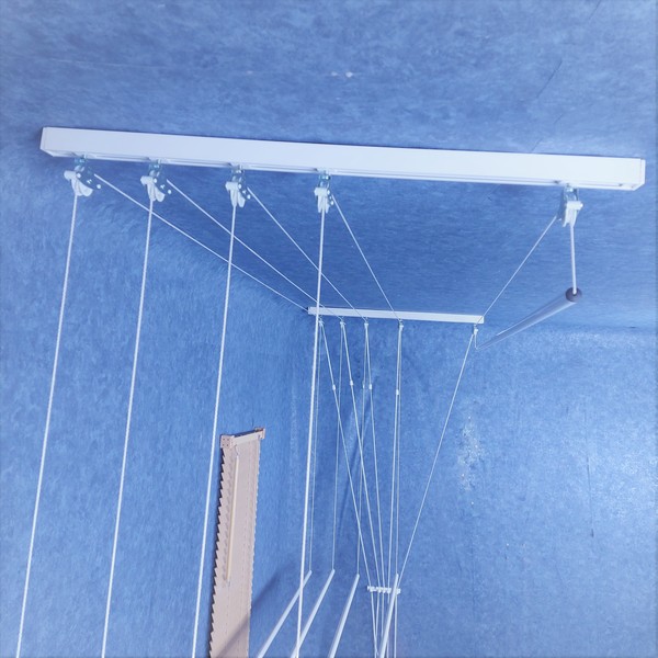 strong_scripeti_tav1